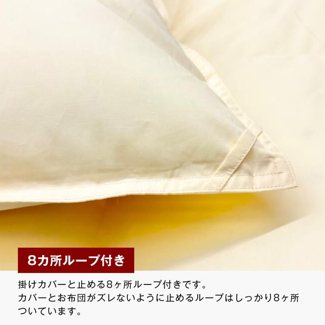 ロイヤルゴールド 羽毛布団 ポーランドマザーグース93％ シングル無地 1.0kg 