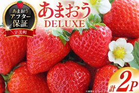 【期間限定発送】 いちご あまおう デラックス 2p [THE FARM_strawberry 福岡県 宇美町 um40azo780000] イチゴ 苺 フルーツ 果実 甘い 小分け