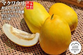 【A6-044】農家直送 程よい甘さのマクワウリ約3.5kg (8-12個)＜2026年7月下旬から発送開始分先行予約＞