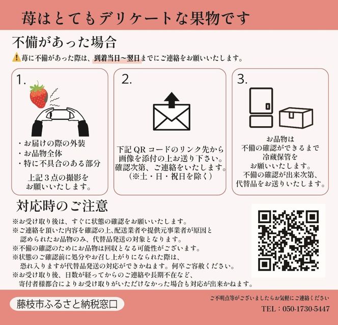 いちご 先行予約  2027年1月～2月発送予定 いちご きらぴ香 約1kg 約250g×4パック 朝どれ 完熟 苺 産地 直送 フレッシュ イチゴ 贈答 フルーツ 果物 国産 静岡県 藤枝市