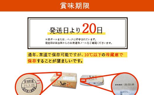 卵【12回定期便】霧島山麓育ち こだわり卵 康卵 計 30個（27個 + 割れ保証 3個）12回 計 360個（324個 + 割れ保証 36個）たまご 玉子 卵焼き 玉子焼き たまご焼き 生卵 鶏卵 たまごかけごはん 国産 九州産 宮崎県産 送料無料