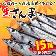 さんま 15尾 冷蔵 鮮秋刀魚 数量限定 [発送:2025年9月～2025年11月下旬頃まで] 三陸 岩手 大船渡市 [kama017]