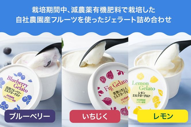 自社農園産フルーツジェラート詰め合わせ　6個|10_egf-050601