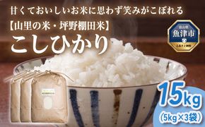 山の湧き水 寒暖差 山里 山里の米･坪野米 R8年産 こしひかり 15kg　※北海道・沖縄・離島への配送不可 ※2026年10月～発送