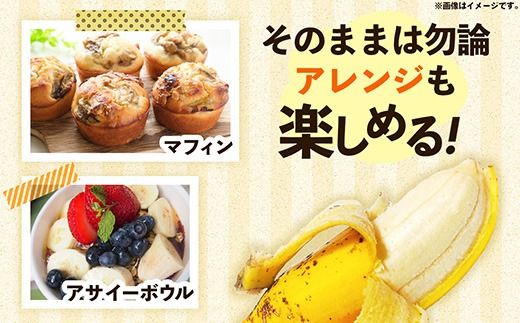 熱帯果樹生産組合のアップルバナナ 約3kg - バナナ ばなな 小ぶり 沖縄県 産地直送 果物 フルーツ 南国 朝食 おすすめ 沖縄県 八重瀬町