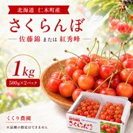 2027年発送 北海道 仁木町産 さくらんぼ 1kg (500g×2) 佐藤錦または紅秀峰 果樹 サクランボ チェリー フルーツ 果物 果物類 ギフト 仁木町 仁木 [くくり農園]