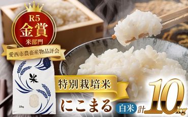 令和6年産 愛知県産にこまる 白米10kg 特別栽培米 ご飯 精米／戸典オペレーター[AECT017]