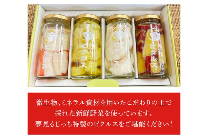 CN-13　【先行予約】【2024年4月中旬より発送】★月20セット限定★夢見るじっちのピクルス（おまかせ4本セット）