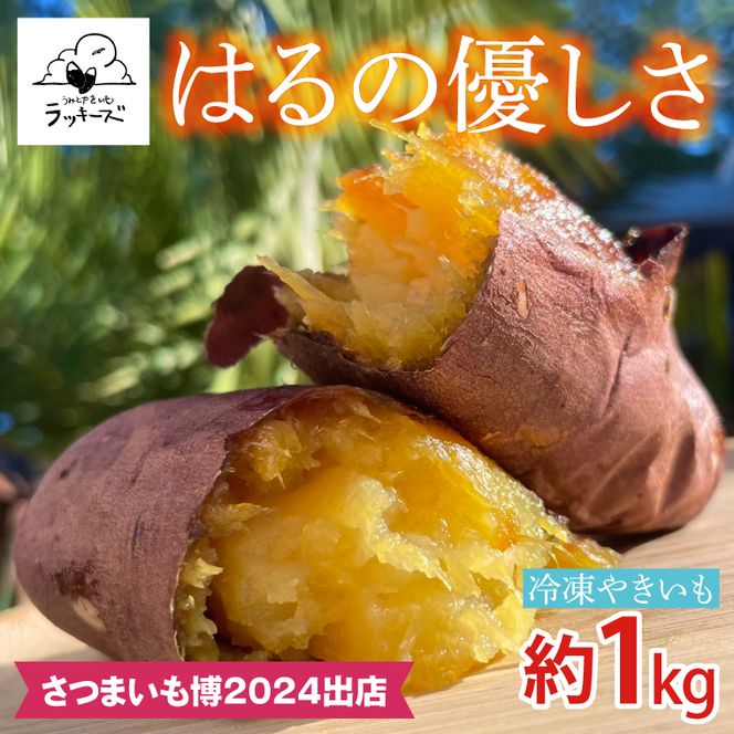 【日本最大級のサツマイモの祭典、さつまいも博2024 出店】はるの優しさ(冷凍やきいも) 約1kg｜冷凍 焼芋 焼き芋 やきいも さつまいも さつま芋 熟成 茨城県 行方市 ふるさと納税(GC-2)