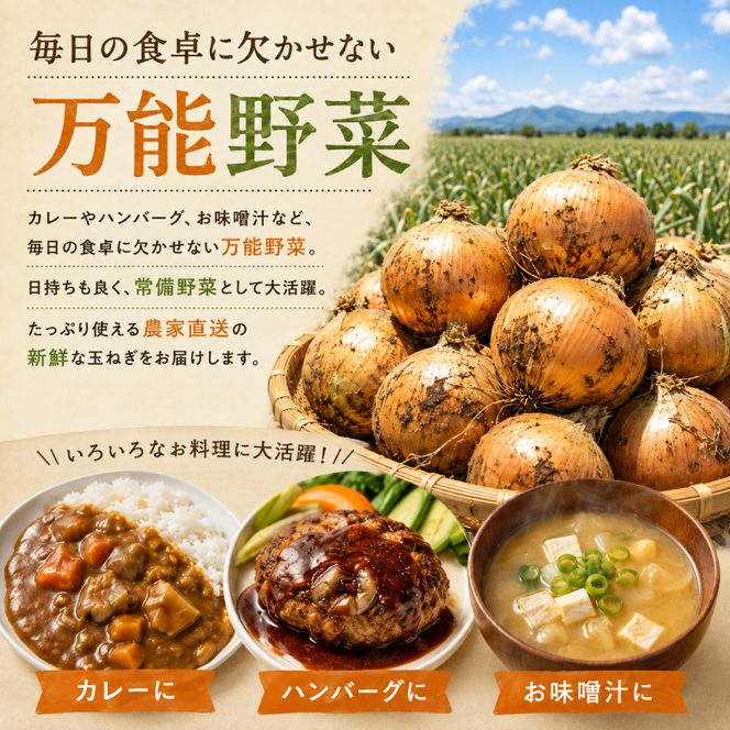 【先行予約】十勝幕別のジャンボ玉ねぎ20kg（3L）【北海道ホープランド農場】 野菜 たまねぎ