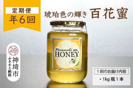 yꌧ_szy6z_Y VR݂͂(v6kg)yY _Y  Y 蕨 ցz(H049130)