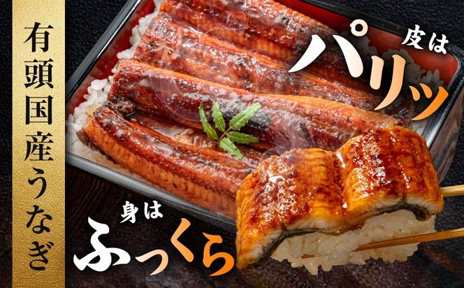 015B754 【贈答用】五郎藤 関西風地焼き 国産有頭旨鰻 250g×2尾 計約500g 特大 うなぎ ウナギ 蒲焼き 炭火