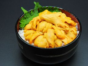 【先行予約】【数量/期間限定】三崎の赤ウニ（塩水パック） 約80g ※北海道・東北地方・沖縄・離島への配送不可（2025年8月上旬より順次発送） IKTJ017