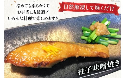 6回 定期便 鮭 切り身 塩銀鮭パック 3切 ×3袋 ×6回 総計18袋 [たみこの海パック 宮城県 南三陸町 m304amh560048] サーモン 銀鮭 塩銀鮭 シャケ 切身 さけ サケ 国産 小分け 個包装 冷凍