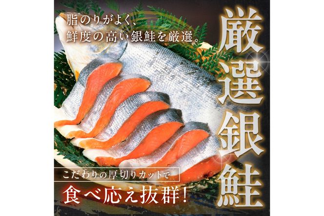 お手軽！絶品！厚切り　塩銀鮭切身 約1kg（プロトン凍結　訳あり　不揃い）　YK00236