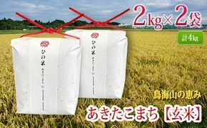 米 お米 秋田県産 あきたこまち 玄米 4kg（2kg×2袋）神宿る里の米「ひの米」（お米 小分け）