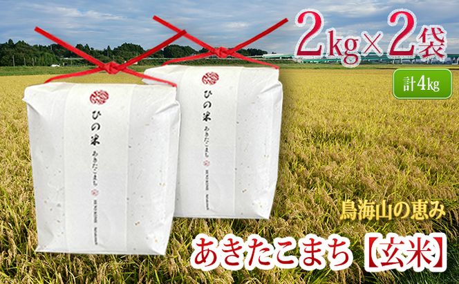 米 お米 秋田県産 あきたこまち 玄米 4kg（2kg×2袋）神宿る里の米「ひの米」（お米 小分け）