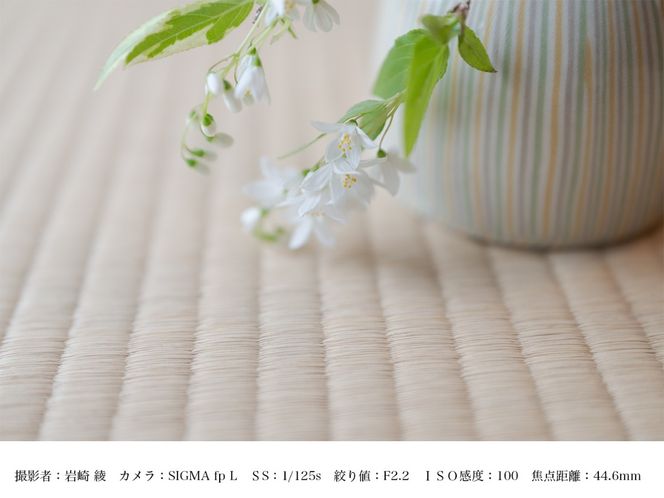 SIGMA 28-45mm F1.8 DG DN | Art【Lマウント】