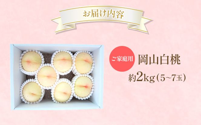 桃 2026年 先行受付 ご家庭用 岡山 白桃 約2kg (5～7玉) フルーツ 果物 岡山 赤磐市