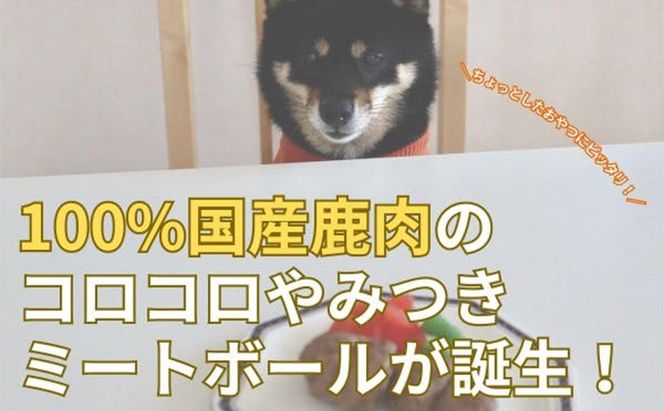 鹿肉ドッグフード　鹿肉ミートボール（犬用）　10パック（約60g×10） 加工食品 お肉 家族 健康 食事 大切 ペット 自然 新鮮 動物 高品質 安心 安全 国産 子犬 老犬 栄養 小分け 