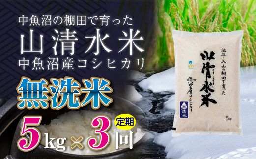 【定期便／全3回】無洗米5kg 新潟県魚沼産コシヒカリ「山清水米」 