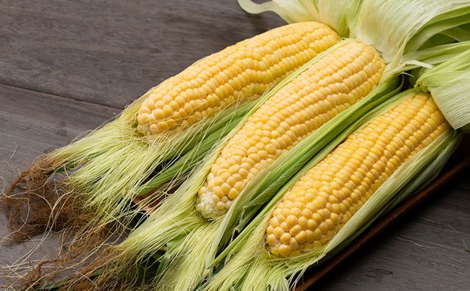 【2026年夏発送】富良野産 生で食べられる とうもろこし【恵味（めぐみ）】 20本 野菜 コーン