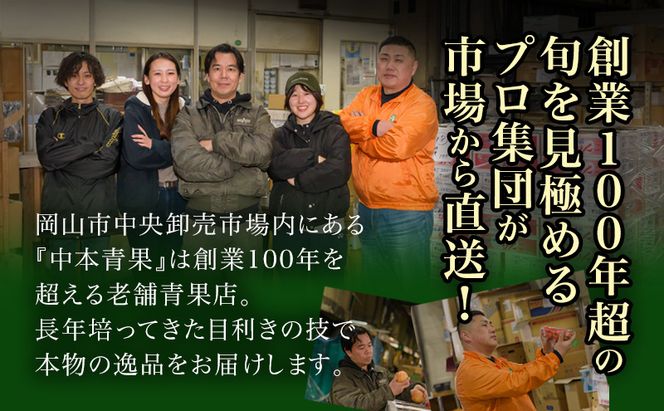 ぶどう 2026年 先行予約 ニュー ピオーネ 2房（1房480g以上）約1kg 化粧箱入り ブドウ 葡萄 岡山県産 国産 フルーツ 果物 ギフト 