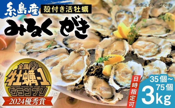 加熱用 みるくがき 3kg 殻付き 活牡蠣 糸島市 / 豊久丸 ブランド/カキ/牡蛎[AEJ005]
