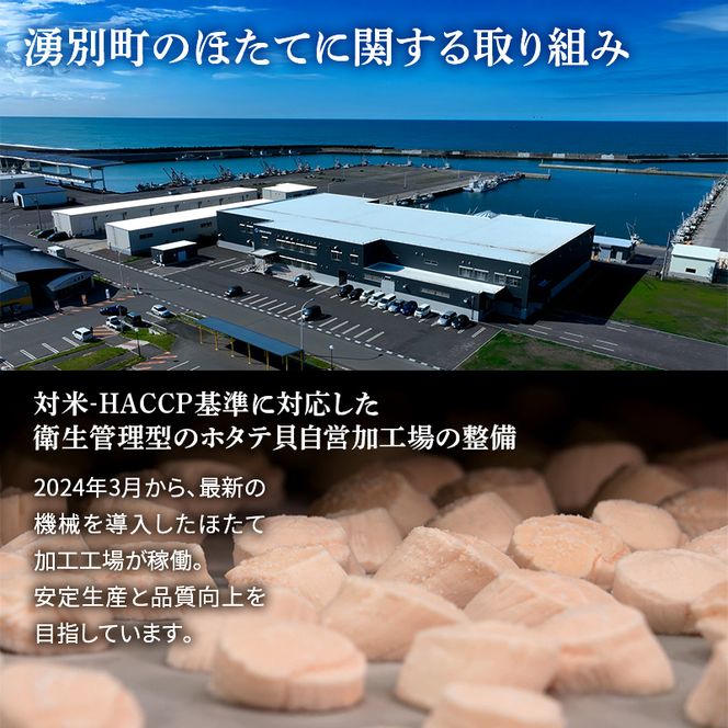 3ヵ月連続お届け 定期便 訳あり 北海道 オホーツク産 冷凍 ほたて 貝柱 2kg（1kg×2箱）ホタテ ランキング 海鮮 刺身 冷凍ふるさと納税 帆立 ふるさと 規格外 ホタテ貝柱
