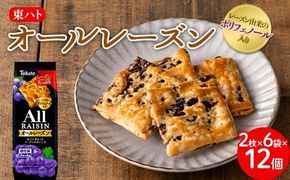 東ハト オールレーズン 2枚×6袋×12個 クッキー お菓子 FAA-074