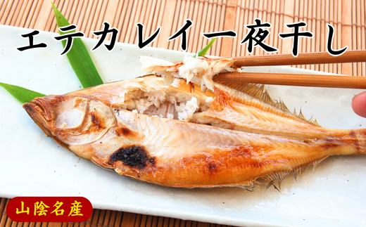【ふるさと納税】山陰名産エテカレイ一夜干し 6枚 エテカレイ カレイ 鰈 干物 一夜干し 干し物 魚介 海鮮 山陰 国産 冷凍 お取り寄せ【配送不可地域：離島】【1109959】 兵庫県 新温泉町 送料無料