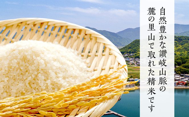 東かがわ市のちょこっと食卓応援品「鶏卵Mサイズ（6個×2P）虹のきらめき（精米2kg）うどん6人前」 たまご 卵 鶏卵 米 精米 うどん セット