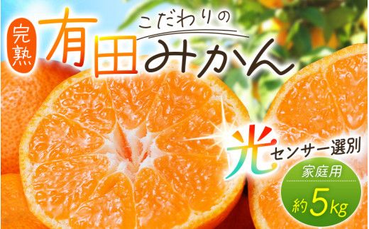 【2026年10月発送】＼光センサー選別／農家直送 【家庭用】こだわりの有田みかん　約5kg＋150g(傷み補償分) みかん ミカン 有田みかん 温州みかん 柑橘 有田 和歌山 ※北海道・沖縄・離島配送不可/みかん ミカン 有田みかん 温州みかん 柑橘 有田 和歌山 産地直送【nuk160-10】