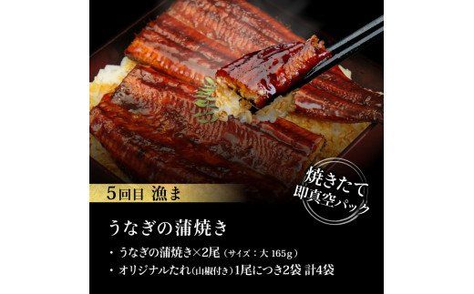 【CF-R7hbk】t111kgp-tka　漁ま＆天下味“土佐人気料理店”芸西村本気の5か月定期便（おひとり様満喫用）／1回目：カツオのたたき 銀象シリーズ、2回目：赤白ホルモン、3回目：塩昆布熟成赤身、4回目：カツオのたたき 土佐にんにくぬたシリーズ、5回目：うなぎの蒲焼〈並〉