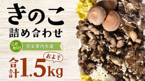 きのこ の 詰め合わせ Mサイズ ( 約1.5kg ) （茨城県共通返礼品：城里町） キノコ セット 野菜 低カロリー ダイエット デトックス バラエティ セット 新鮮 [DY002us]