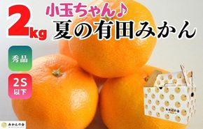 【お中元】小玉ちゃん ハウスみかん 温室栽培 夏の有田みかん約2kg 秀品 2Sサイズ以下 和歌山県 産地直送 みかんの会 【7月上旬～8月上旬に順次発送】 AX275-02