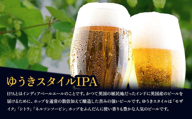 ビールの縁側 つむぎの郷発祥！ リピーターセット クラフトビール3L セット 株式会社結城麦酒《90日以内に出荷予定(土日祝除く)》茨城県 結城市 クラフトビール お酒 酒 ポップ 結城市産---yuki_mgi_2_3l---
