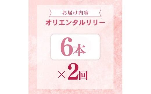 定期便2回 ユリ オリエンタルリリー 6本 花 切り花 プレゼント 贈り物 ギフト 誕生日 記念日 つぼみ 大輪 ピンク 白 香り 優雅 華麗 ブーケ フラワーアレンジメント 観賞用 インテリア 季節の花 高級感 花束 生花 福田園芸 オリエンタルハイブリッド 安芸市 高知県