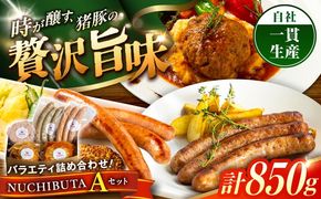 『NUCHIBUTA Aセット』 豚肉 ハンバーグ ソーセージ 詰め合わせ お取り寄せ 国産 ギフト 冷凍 沖縄市 / DELICATESSEN NUCHIBUTA [BCAR003]