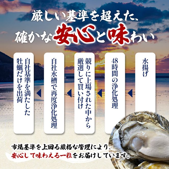 北海道 厚岸産 ブランド牡蠣 マルえもん 殻付き 牡蠣 3Lサイズ 20個 【光輝】 [ 魚貝類 生牡蠣 海鮮 海の幸 生食用牡蠣 生食用 生食用殻付き牡蠣 濃厚 甘み  オイスター ]  