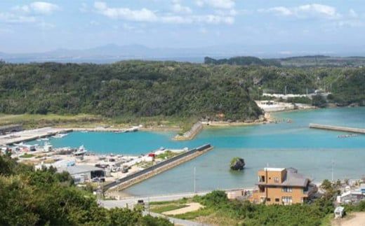 もずくスープ　20個【お手軽　即席スープ】