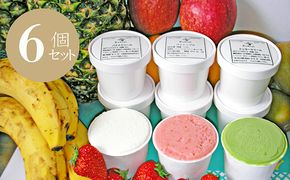 【CF】Ruhiel（ルヒエル）の完熟フルーツジェラート　6個セット お菓子 