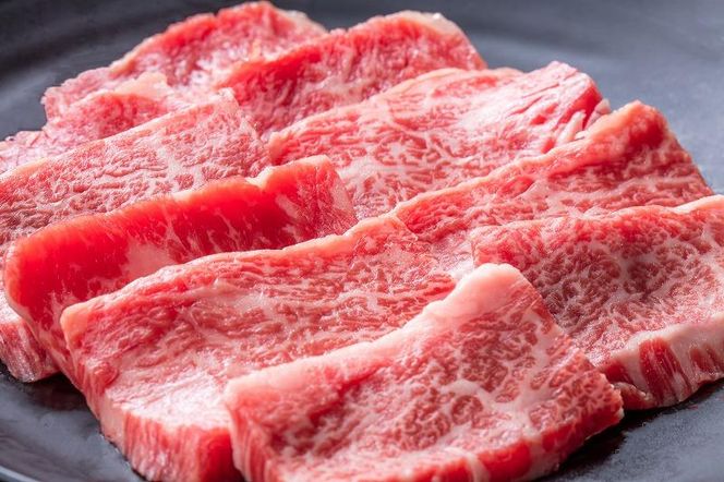 y挧sza Jr 500g 312011_CV008