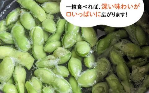 【期間限定！】黒大豆枝豆【幸】1.2kg （400g×3袋） 糸島市 / 染井野菜園[AZM001]