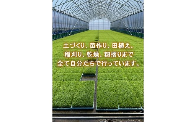 【3ヶ月定期便】【射水市】【ライスファーマー山上】【農家直送】【射水の美味しいお米】R8年産コシヒカリ10kg（5kg×2）【精米】 ※2026年10月上旬～10月下旬頃に順次発送予定 ※離島への配送不可