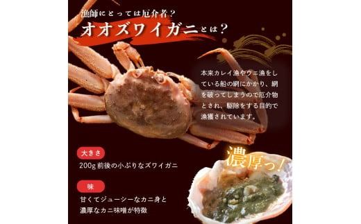 【2026年2月発送　先行予約】【訳あり】浜茹でオオズワイガニ 2kg 詰めセット 北海道噴火湾産 _HD206-001