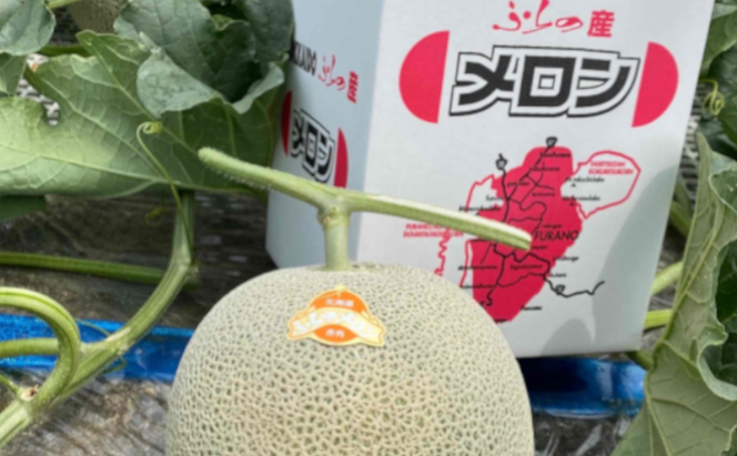 【2026年7～9月連続お届け】3品種 ふらの メロン 定期便 ≪計3玉≫ 北海道 富良野市 (高見農園) メロン フルーツ 果物 新鮮 甘い 贈り物 ギフト 道産 ジューシー おやつ ふらの ブランド 夏 