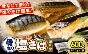 【Z9-023】【訳あり】骨取り 塩さば切り身(600gx1袋)