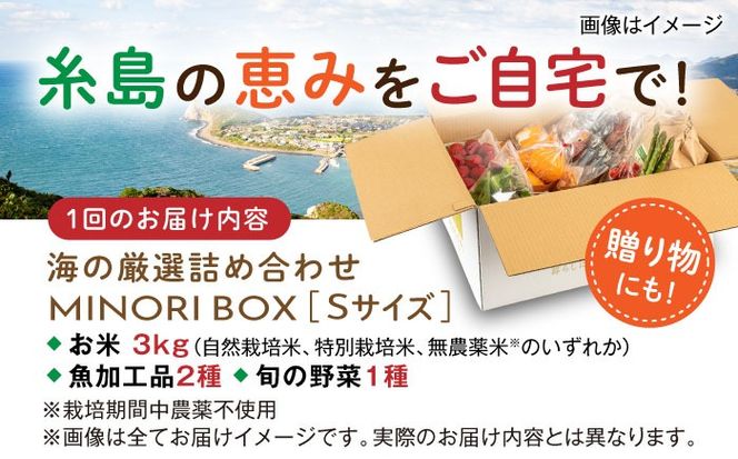 【全12回定期便】糸島産 魚 米 野菜 果物 厳選詰め合わせ MINORI BOX Sサイズ 糸島市 / emma.Inc / 米 魚 野菜 詰め合わせ[AOP022]