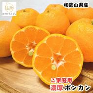 【ふるさと納税】【先行予約】極甘 柑橘 有田育ちの 濃厚 ポンカン（訳あり 家庭用）3kg+200g(傷み補償分) / みかん 柑橘 果物 フルーツ 甘い 和歌山 晩柑 有田 ※2027年1月上旬～2月下旬に順次発送 ※北海道・沖縄・その他離島地域は発送不可 【ard008-c-3A】